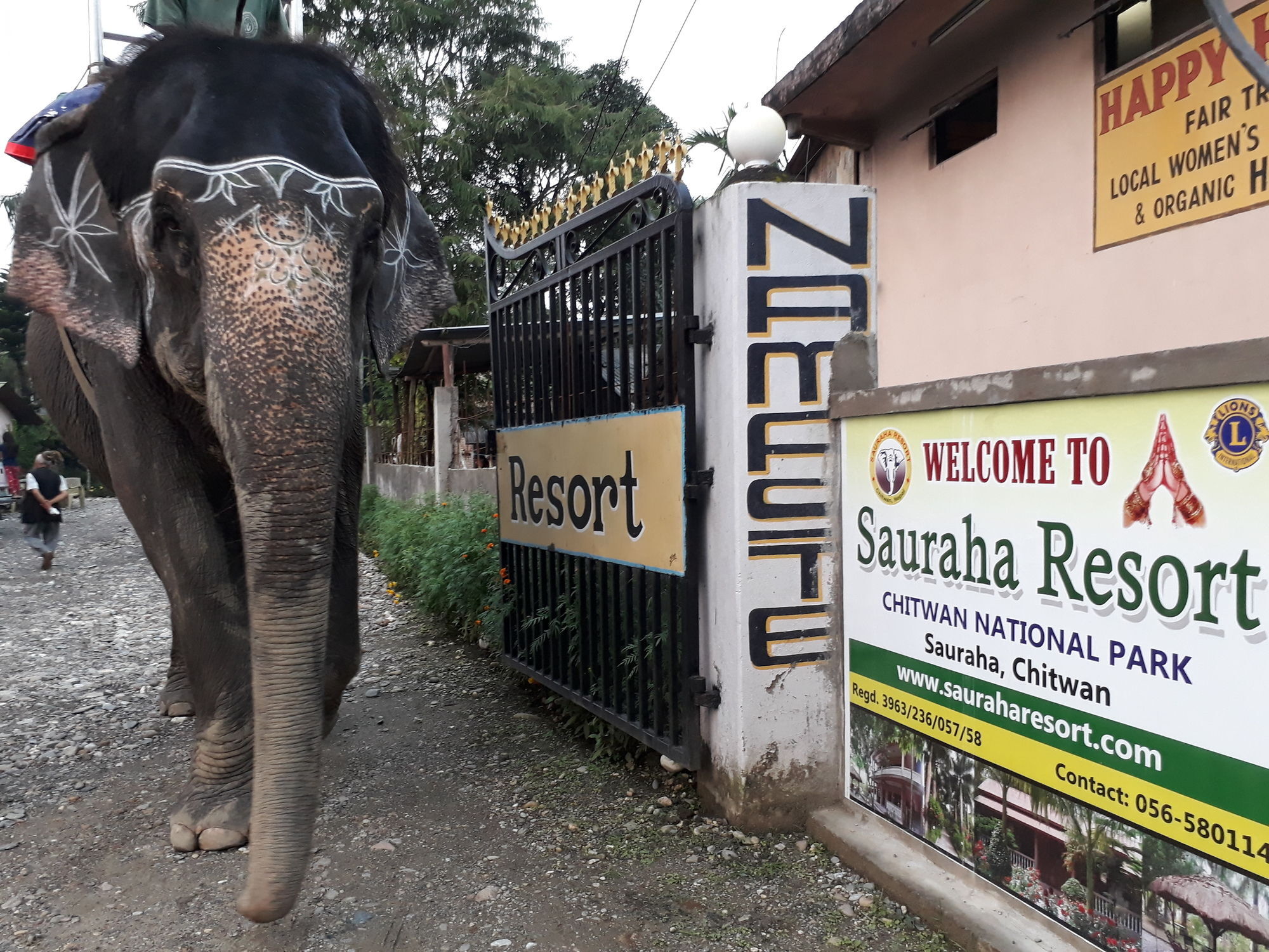 Hotel Ama Garden Sauraha Exterior foto
