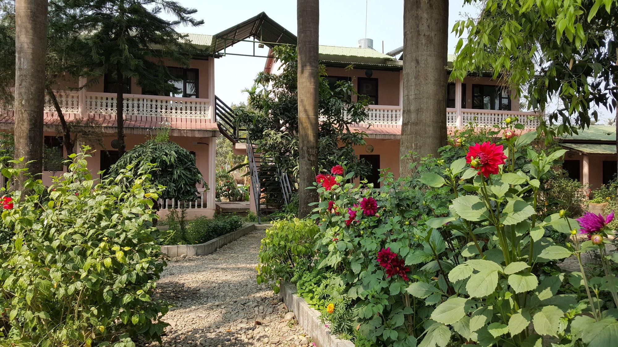 Hotel Ama Garden Sauraha Exterior foto